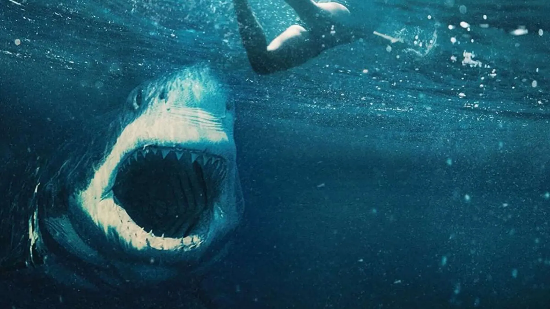 "Tiburón blanco" se estrena este viernes 7 de mayo en España
