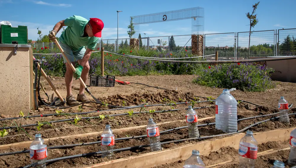 Salamanca integra los huertos urbanos en los corredores verdes junto al Tormes