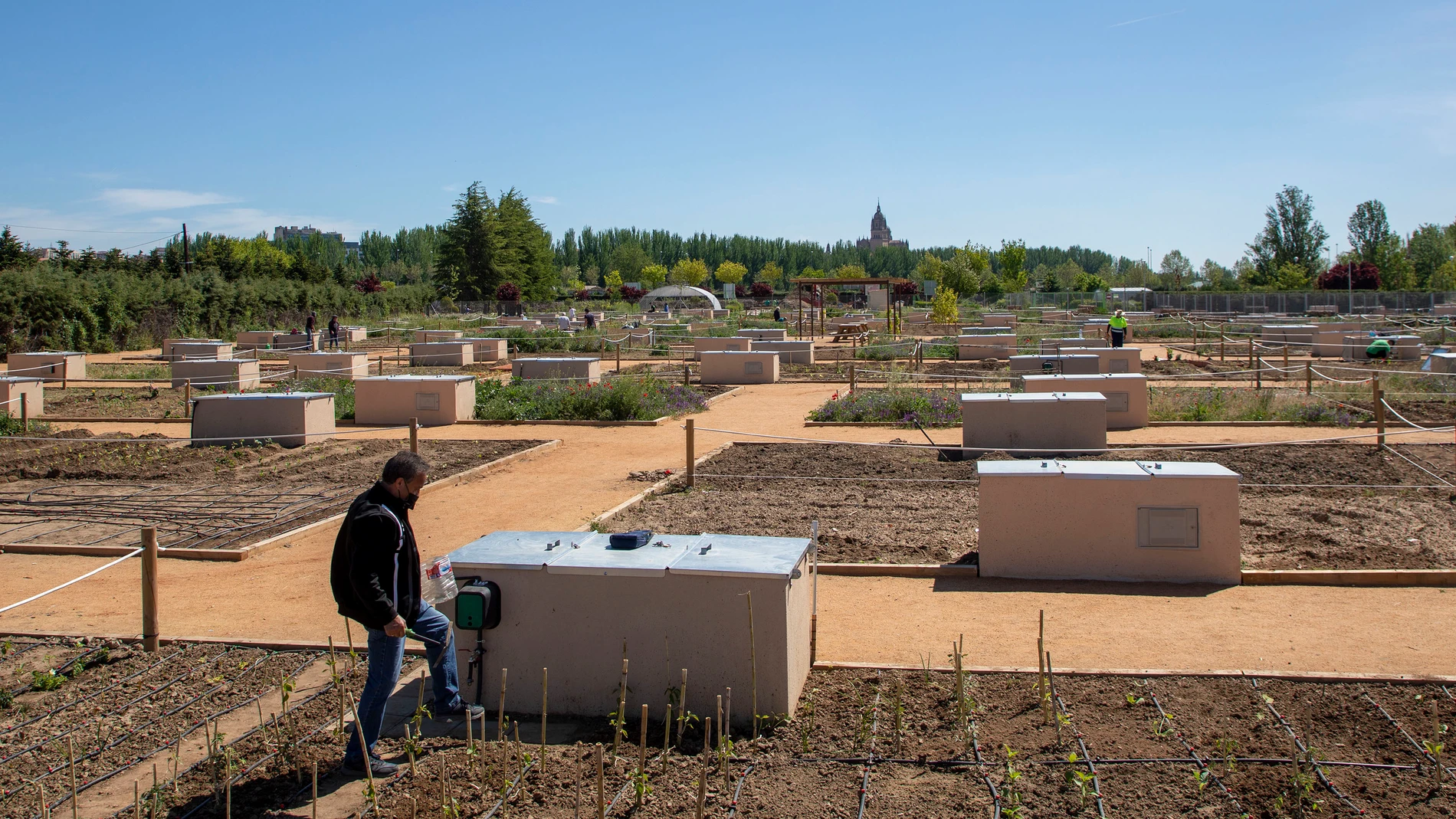 Salamanca integra los huertos urbanos en los corredores verdes junto al Tormes