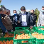 El presidente de la Comunidad y el consejero de Agricultura visitan una finca de cultivo ecológico de albaricoque en Abanilla
