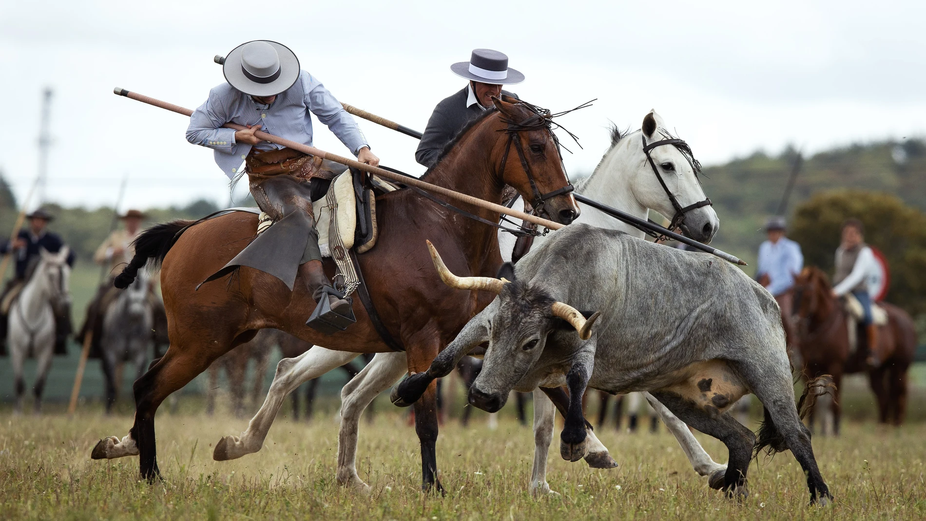 La collera salmantina formada por Alberto Mulas y Alberto Moreno han sido los ganadores del Campeonato de Castilla y León de Acoso y Derribo 2021 celebrado en Tamames(Salamanca). La collera formada por el matador de toros Pedro Gutierrez "el Capea" y Manuel García quedaron en segunda posición.