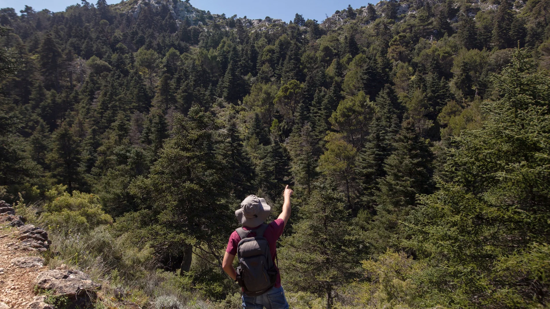 Imagen de archivo de La Sierra de las Nieves, oasis de biodiversidad en la provincia de Málaga que cuenta con 23.000 hectáreas