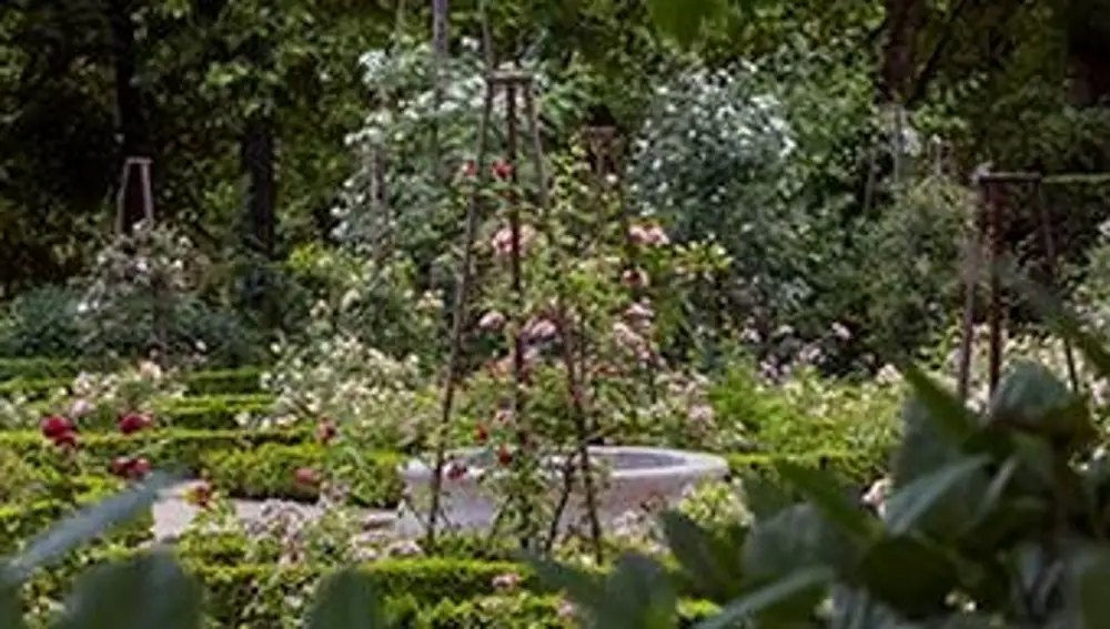 Inaugurada la Rosaleda del Real Jardín Botánico de Madrid tras finalizar los trabajos de restauración