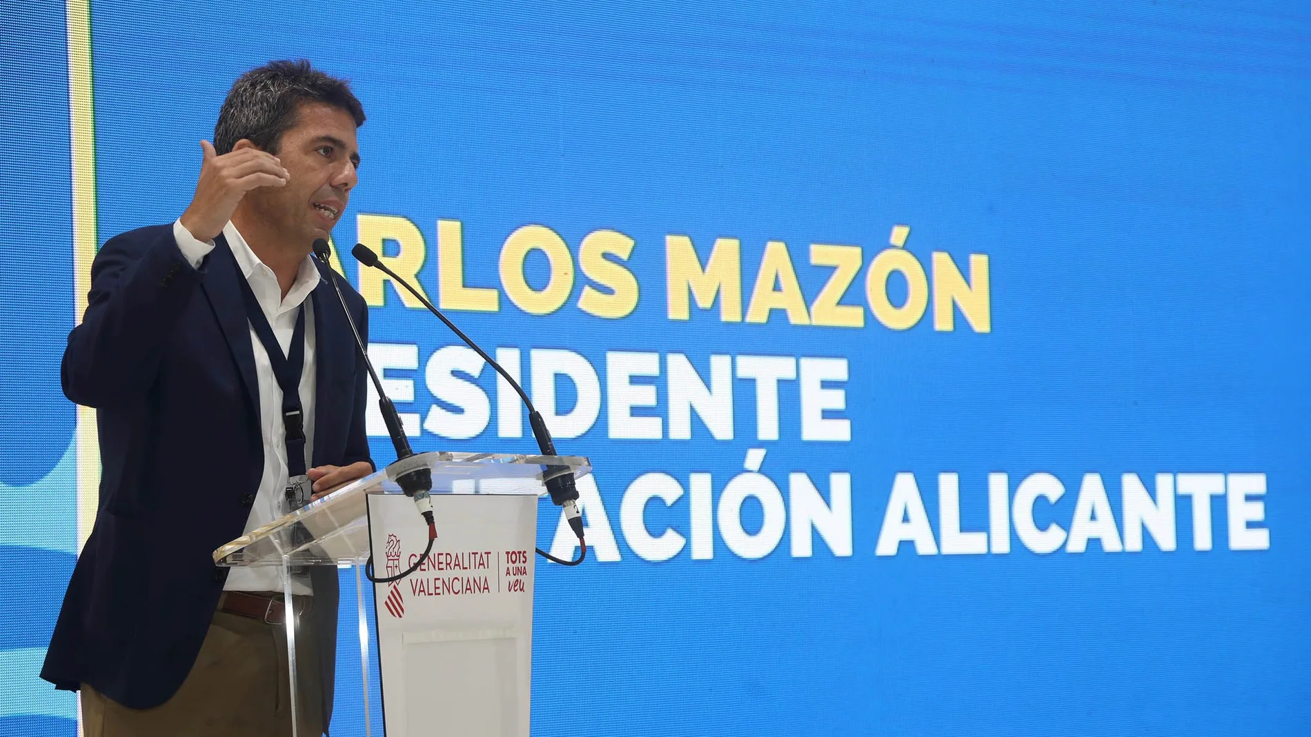 El presidente de la Diputación de Alicante, Carlos Mazón