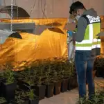 Plantación de marihuana en un garaje de San Sebastián de los Reyes