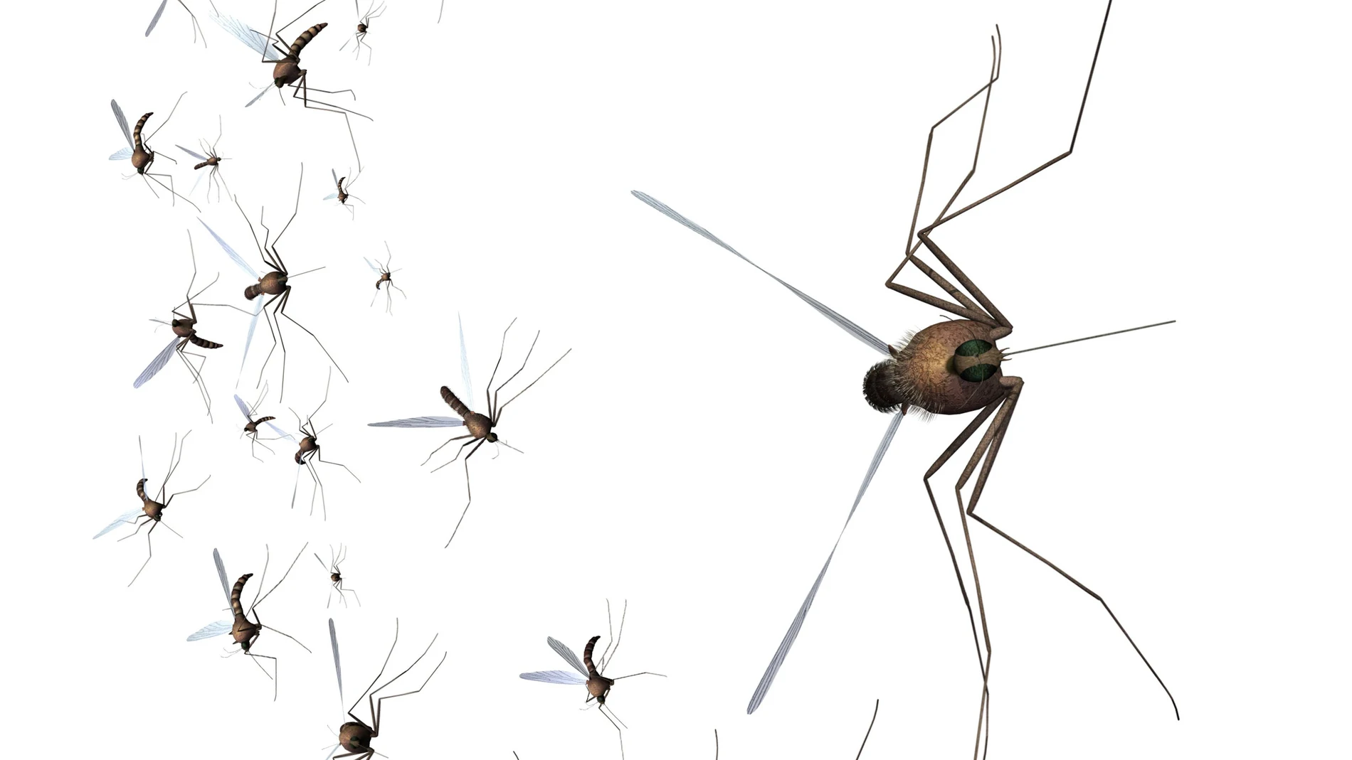 La liberación de millones de voladores modificados genéticamente para combatir el dengue, bajo el paraguas del Foro Económico Mundial, genera rechazo entre los grupos ambientalistas, que lo consideran una técnica costosa y peligrosa que puede afectar a los ecosistemas y crear males mayores que los que se pretenden combatir