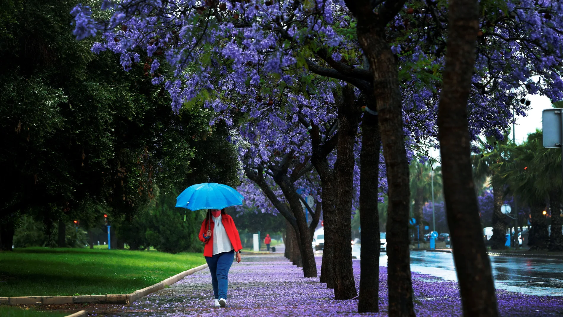 Una mujer se cubre con un paraguas ayer domingo en Alicante