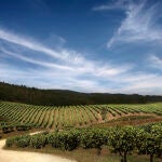Ruta del Vino Rías Baixas, Terras Gauda