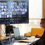Pleno telemático de la Diputación de Málaga correspondiente al mes de mayo