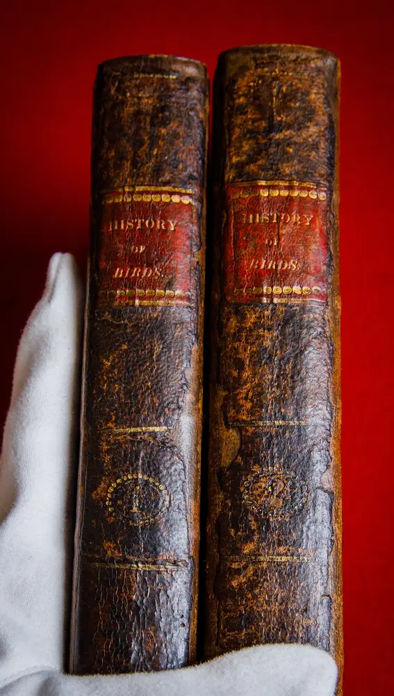 La copia de la familia Brontë de &quot;Historia de las aves británicas&quot; de Thomas Bewick