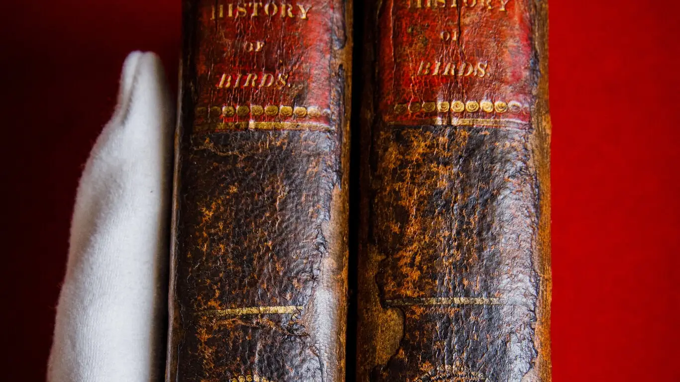 La copia de la familia Brontë de &quot;Historia de las aves británicas&quot; de Thomas Bewick