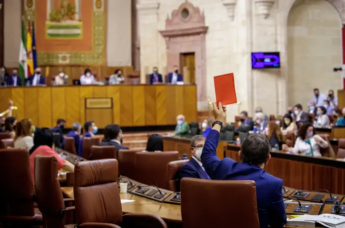 Una rata se cuela en el pleno del Parlamento andaluz y provoca momentos de tensión