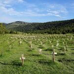 Cementerio de Sad Hill.