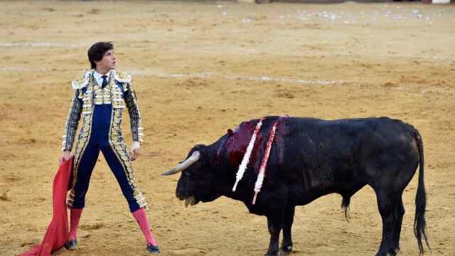 Andrés Roca Rey durante su faena en la plaza, a 6 de junio de 2021, en Brihuega, Guadalajara, España.TOROS;PLAZA;CORRIDA;TRAJE DE LUCES;TORERO;PUBLICOFrancisco Guerra / Europa Press06/06/2021
