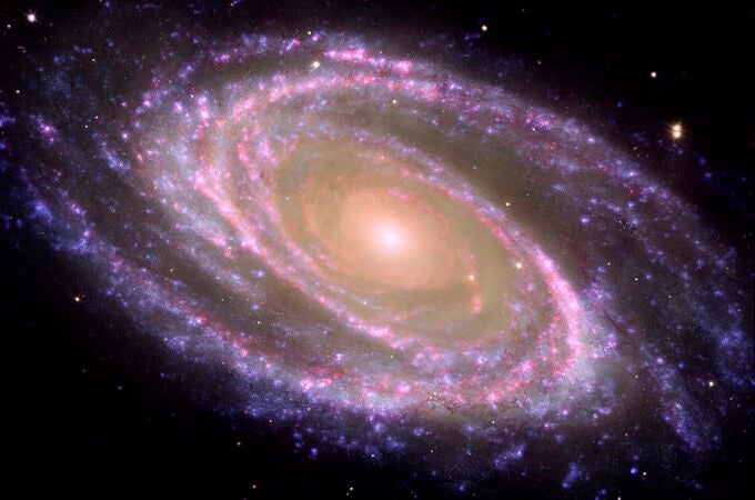 Ejemplo de galaxia espiral cercana, M81, donde se identifica el bulbo (la parte central rojiza) y el disco 