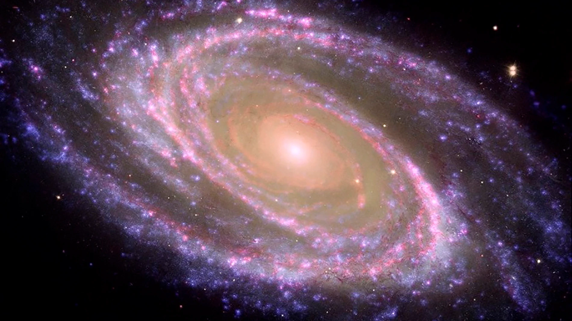 Ejemplo de galaxia espiral cercana, M81, donde se identifica el bulbo (la parte central rojiza) y el disco (