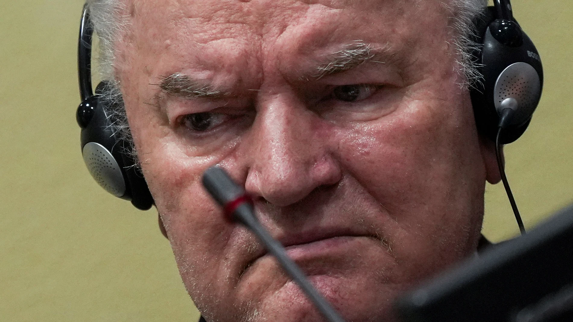 El ex líder militar serbobosnio Ratko Mladic gesticula durante la apelación en La Haya
