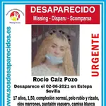 Cartel de búsqueda de la joven desaparecida