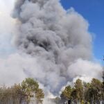 Incendio de nivel 1 en el municipio de Serradilla del Arroyo (Salamanca)