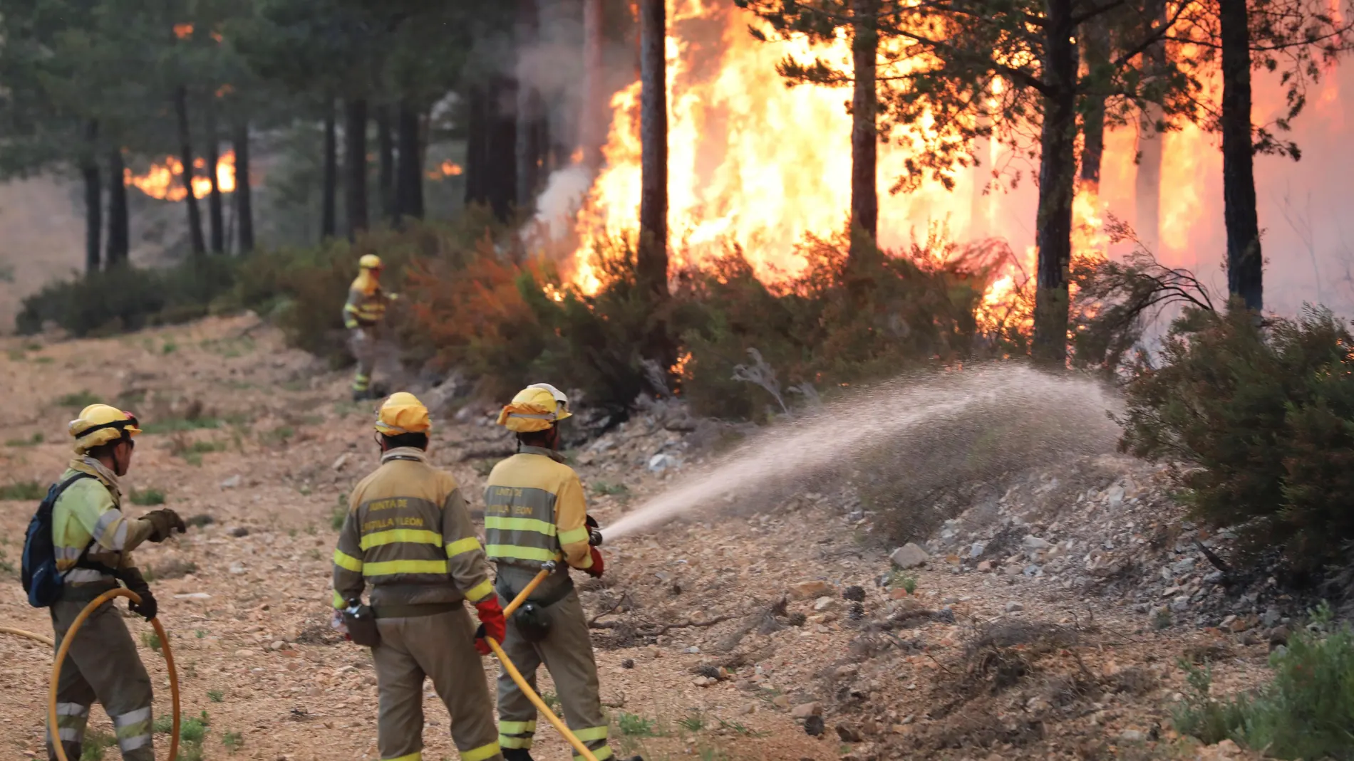 Patrullas de la Junta de Castilla y León trabajan para sofocar un incendio