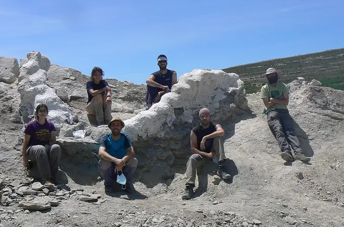 Descubren la columna vertebral de un dinosaurio gigante en Teruel 