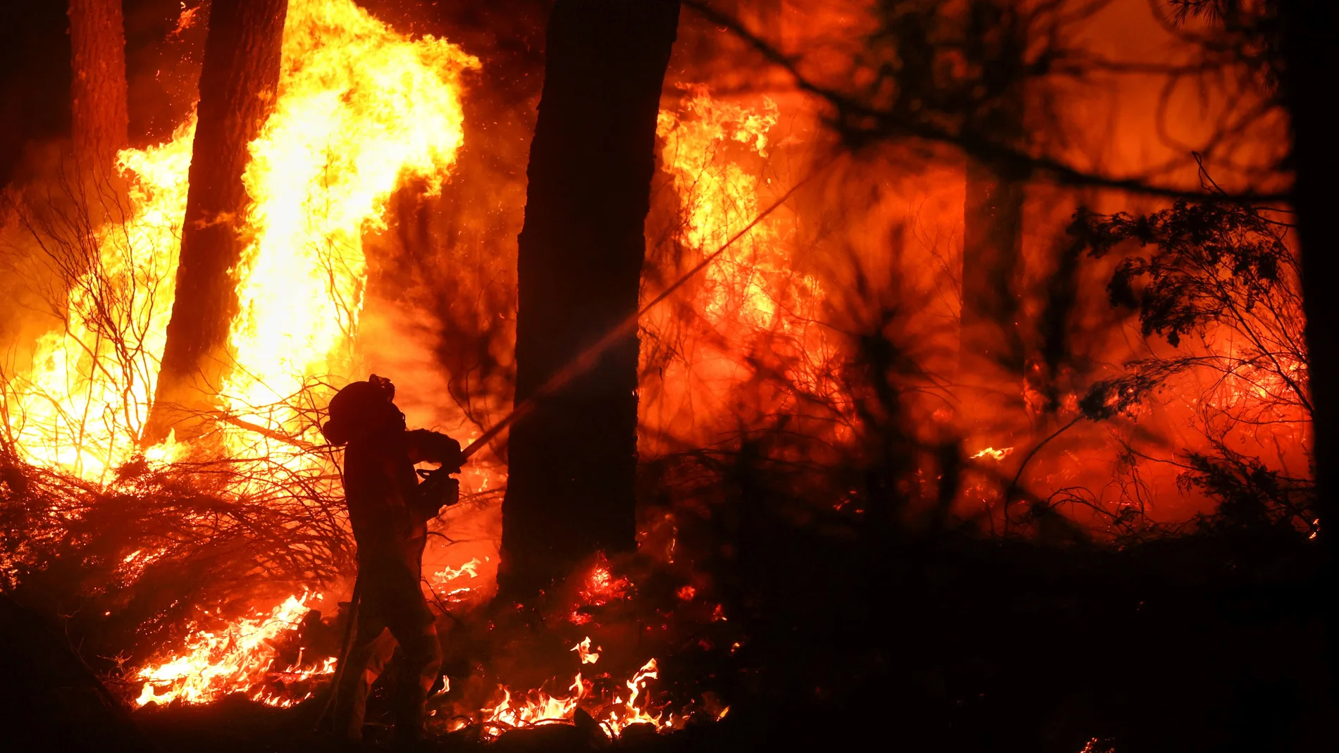El incendio forestal se inició en el término de Serradilla del Arroyo (Salamanca) alrededor de las 16.30 horas. Durante toda la noche cuadrillas de bomberos están luchando contra el fuego