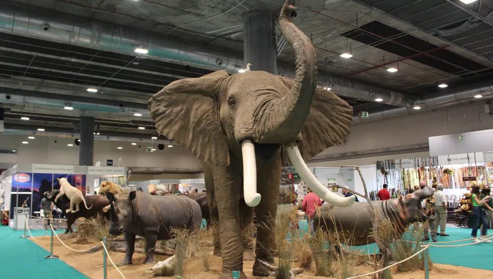 Un gran elefante representa la taxidermia en el centro del pabellón