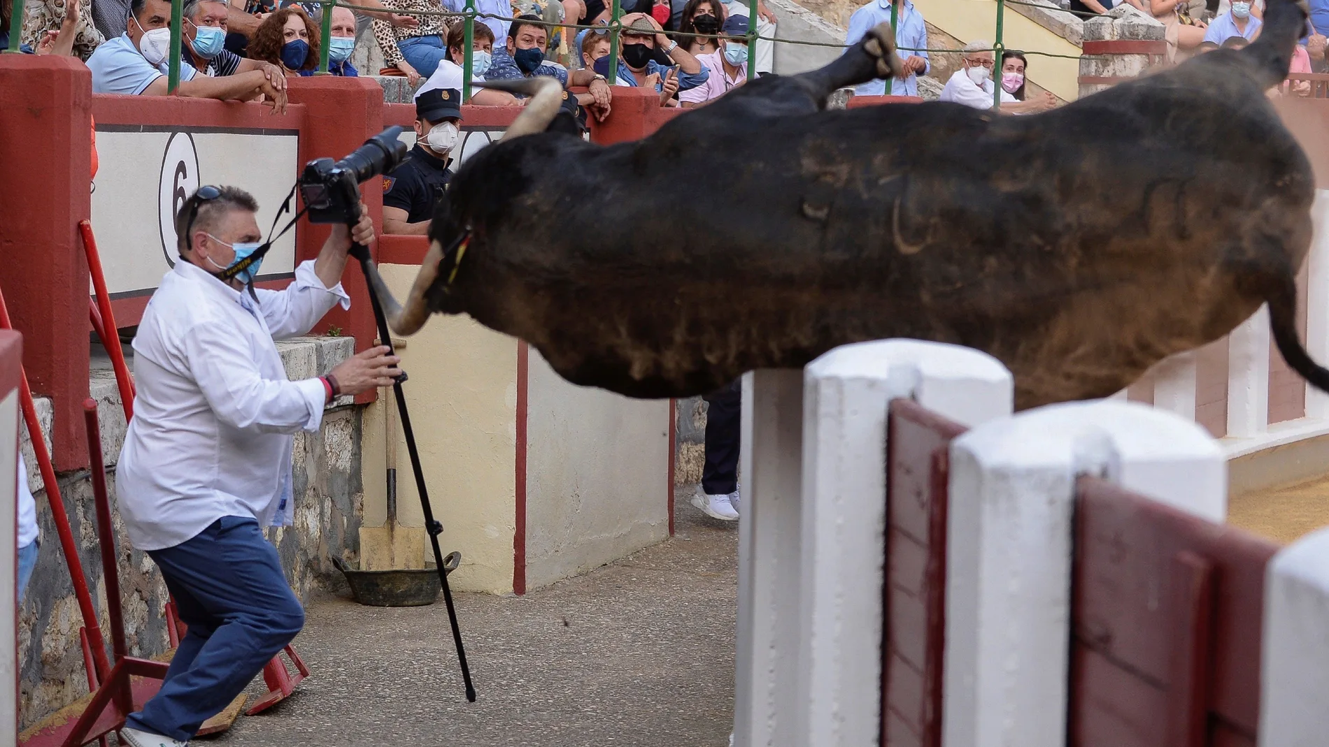 El primer toro de la tarde intenta saltar al callejón en la corrida que tiene lugar en la plaza de Valladolid, en la que comparten cartel Morante, Manzanares y Pablo Aguado