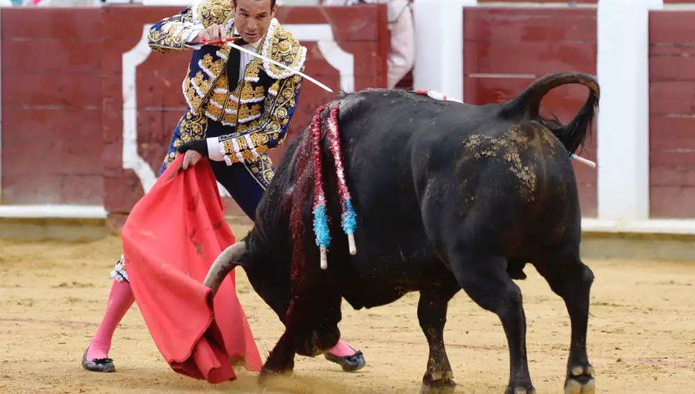 VALLADOLID, 12/06/2021.- El diestro José María Manzanares entra a matar a su primer toro de la corrida celebrada esta tarde en Valladolid, en donde comparte cartel con Morante de la Puebla y Pablo Aguado. EFE/NACHO GALLEGO