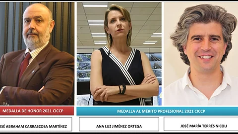 El Colegio de Ingenieros de Caminos, Canales y Puertos distingue a tres ingenieros andaluces con las Medallas de Honor y al Mérito Profesional 2021