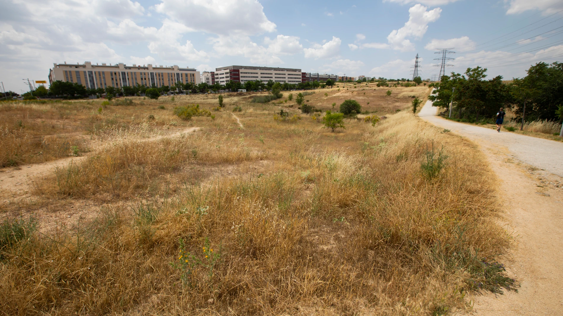 Parcela de terreno en la Avenida Arribes del Duero en San Sebastián de los Reyes, donde la Comunidad de Madrid quiere construir viviendas de alquiler a bajo precio