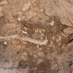 Restos de la Homo sapiens de hace 14.000 años hallada en el yacimento de Santa Linya (Lleida)