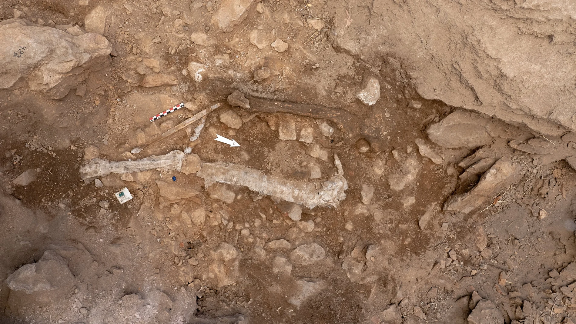 Restos de la Homo sapiens de hace 14.000 años hallada en el yacimento de Santa Linya (Lleida)