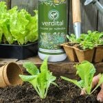 BIOFERTILIZANTE A PARTIR DE SPIRULINA