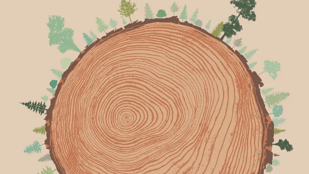 &quot;El clamor de los bosques&quot;, de Richard Powers