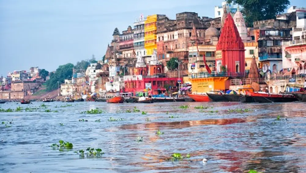 Salvada de las aguas del Ganges