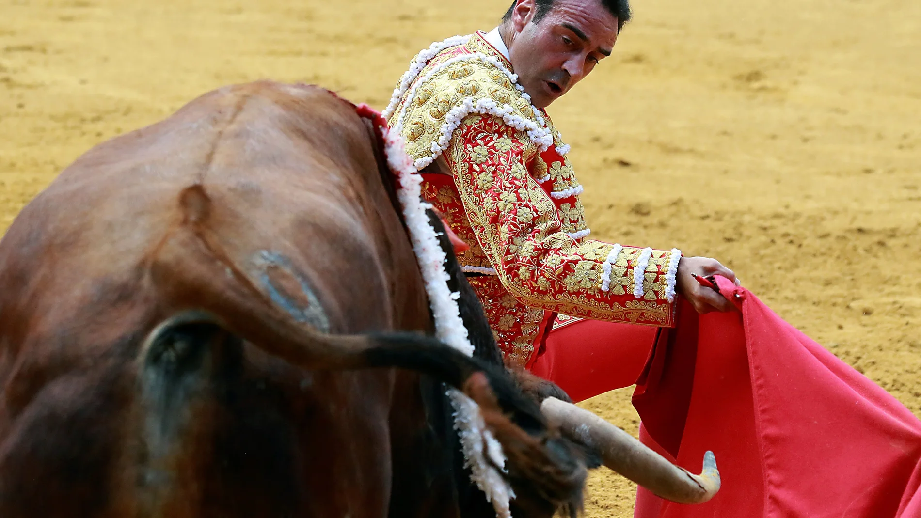 El diestro Enrique Ponce da un pase durante la feria taurina de la festividad del Corpus de Granada 2021 con toros de Daniel Ruiz en la Plaza de toros de Granada. EFE/Pepe Torres