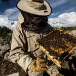 Javier Gariido, apicultor de El Jarabo.