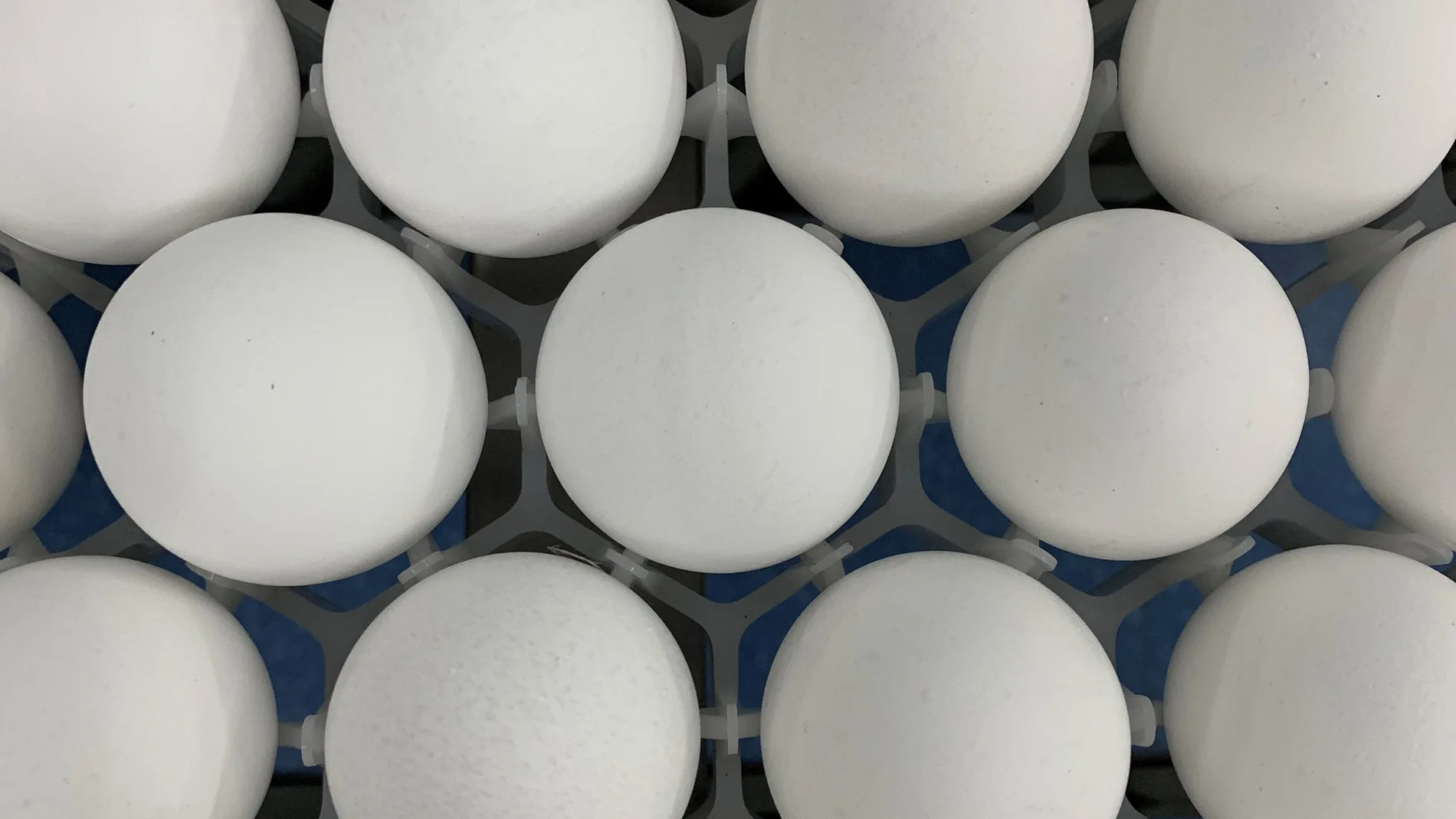 ACOMPAÑA CRÓNICA: COERONAVIRUS BRASIL - AME7367. SAO PAULO (BRASIL), 21/06/2021.- Detalle de varios huevos de gallina en un laboratorio el 18 de junio de 2021, en Sao Paulo (Brasil). Los científicos brasileños trabajan a contrarreloj para producir el primer inmunizante anticovid de un país que ya supera el medio millón de muertos. El reto: conseguir veinte millones de huevos de gallina para fabricar 40 millones de dosis de la vacuna. El fármaco, bautizado como Butanvac, está siendo desarrollado por el Butantan, uno de los laboratorios de referencia en Brasil y que actualmente es responsable de la producción local de la Coronavac, la vacuna ideada por la china Sinovac. EFE/ Alba Santandreau