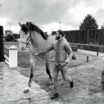 Sergio Ramos con su caballo Greco de Ramos.