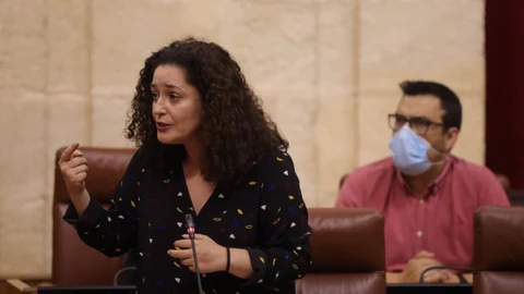 La portavoz parlamentaria de Adelante, Inmaculada Nieto, en el Parlamento
