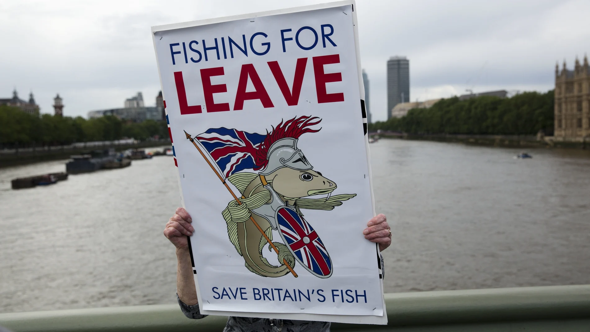 Imagen de archivo de un seguidor del "Leave" durante la campaña del referéndum de salida de la Unión Europea en junio de 2016