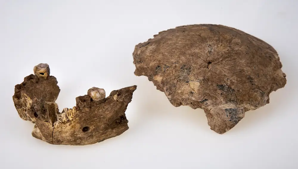 Los Homo Neher Ramla vivieron hace entre 120.00 y 140.000 años