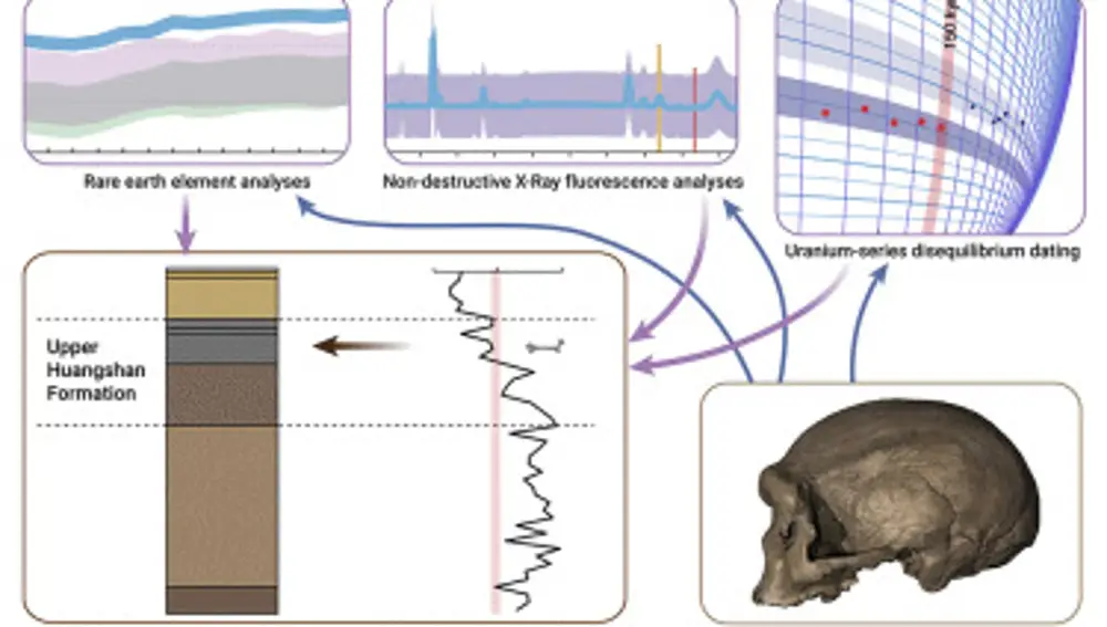 Estudio de la antiguedad del cráneo del Homo longi