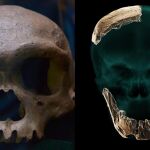 Comparación del Homo de Nescher Ramla (derecha) y Homo longi (izquierda)