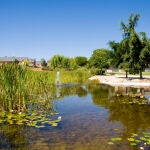 Parque público en Madrid en el que se utiliza agua regenerada.