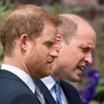 Los príncipes Harry y William de Inglaterra en su última aparición pública