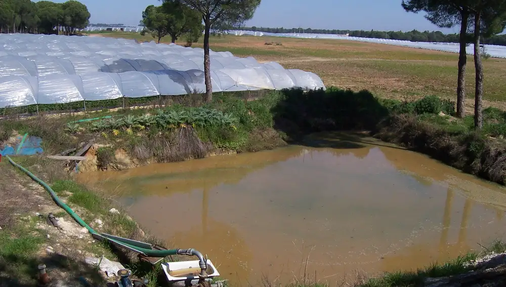 Imagen de agua acumulada para uso agrícola en los márgenes del espacio natural