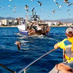 España rechaza el reparto de cuotas pesqueras propuesto por la UE