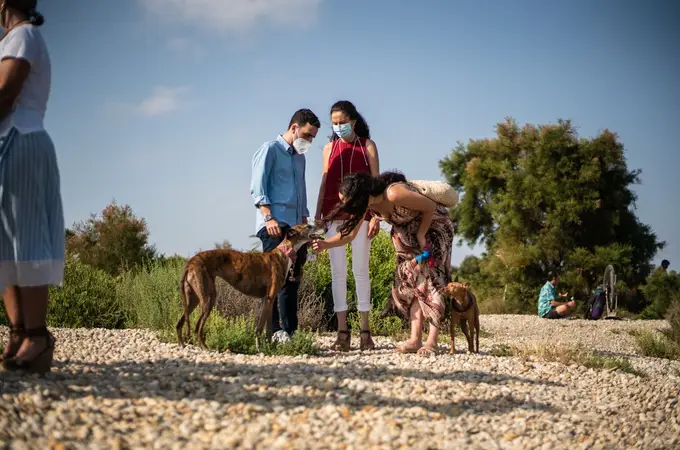Playas para perros 2021: Las 9 mejores playas para ir con canes 